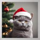 Search for british shorthair cat art Kitten