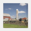 Search for silos magnets Field