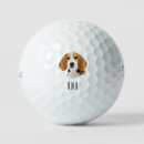 Search for beagle golf equipment Pet