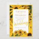 Search for black eyed susan invitations Summer