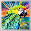 Search for vintage parrot art Tropical birds