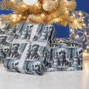 Search for husky wrapping paper Siberian