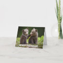 Search for funny bear cards Silly