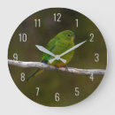 Search for australia clocks Parrot