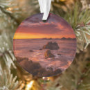 Search for carmel california christmas tree decorations Big sur