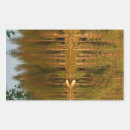 Search for reflection stickers Summer