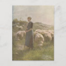 Search for sheep vertical postcards Field