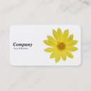 Search for queen business cards Modern