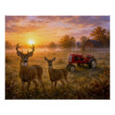 Search for whitetail deer posters Wildlife