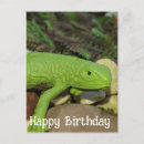Search for happy lizard Cute