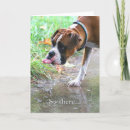 Search for adorable dog cards Silly