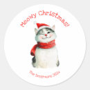 Search for cute cat stickers Humour