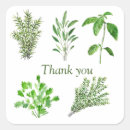 Search for sage herb stickers Rosemary