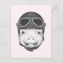 Search for funny pig postcards Retro