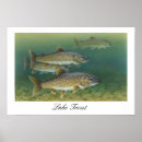 Search for trout posters Underwater