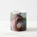 Search for ap coffee mugs Cool