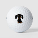 Search for dog golf balls Pets