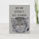 Search for cat designed birthday cards For kids
