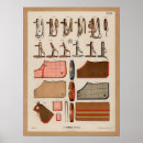 Search for tack posters Equestrian