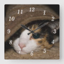 Search for calico kitten art Kitty