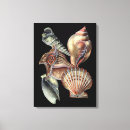 Search for reef canvas prints Sea creatures