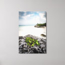 Search for tulum canvas prints Mexico