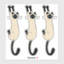 Search for big eye electronics Cat