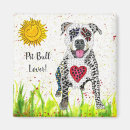 Search for pit bull magnets Animal