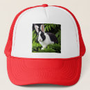 Search for coniglio Rabbit