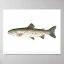 Search for salmon fish posters Trout