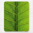 Search for folliage Leaves