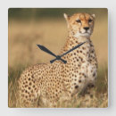 Search for acinonyx art Cheetah