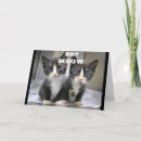 Search for kitten birthday cards Friend