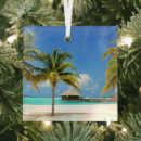 Search for maldives christmas tree decorations Indian ocean