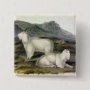Search for mountains badges Illustration