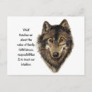 Search for wolf face postcards Wild