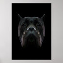 Search for corso posters Cane