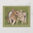 Search for piglet birthday invitations Pigs