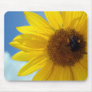 Search for sun shine mouse mats Sky