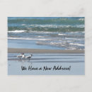 Search for wild bird postcards Watercolor