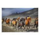 Search for stampede art Herd