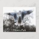 Search for flights postcards Bird