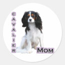 Search for ckcs stickers Cavalier