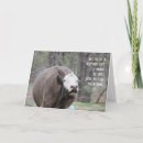 Search for texas birthday cards Funny