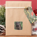 Search for barred owl stickers Wildlife