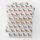 Search for people wrapping paper Funny