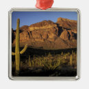 Search for pipe organ christmas tree decorations Usa