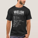 Search for welsh language Translation