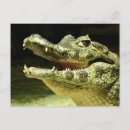 Search for gesicht Smile