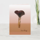 Search for fungus cards Nature